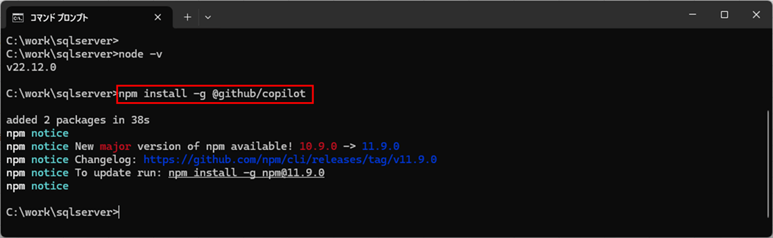 GitHub Copilot CLIのインストールと起動_2