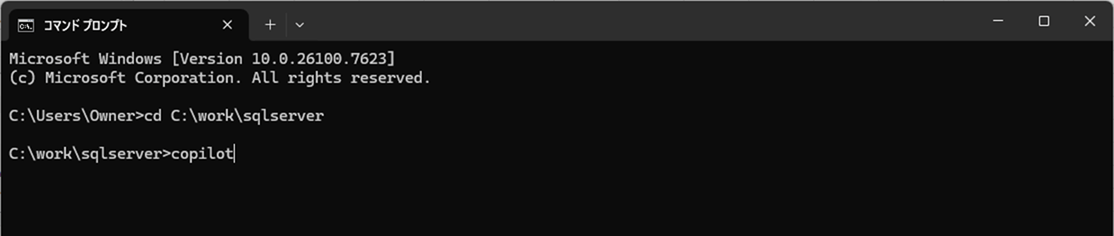 GitHub Copilot CLIのインストールと起動_3